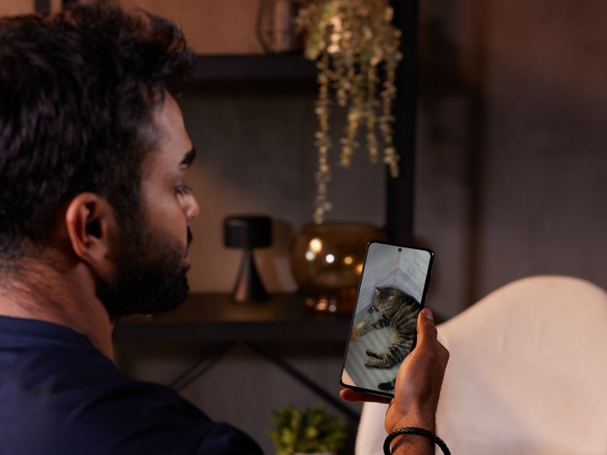 Le chat vu en direct sur un smartphone, en soirée