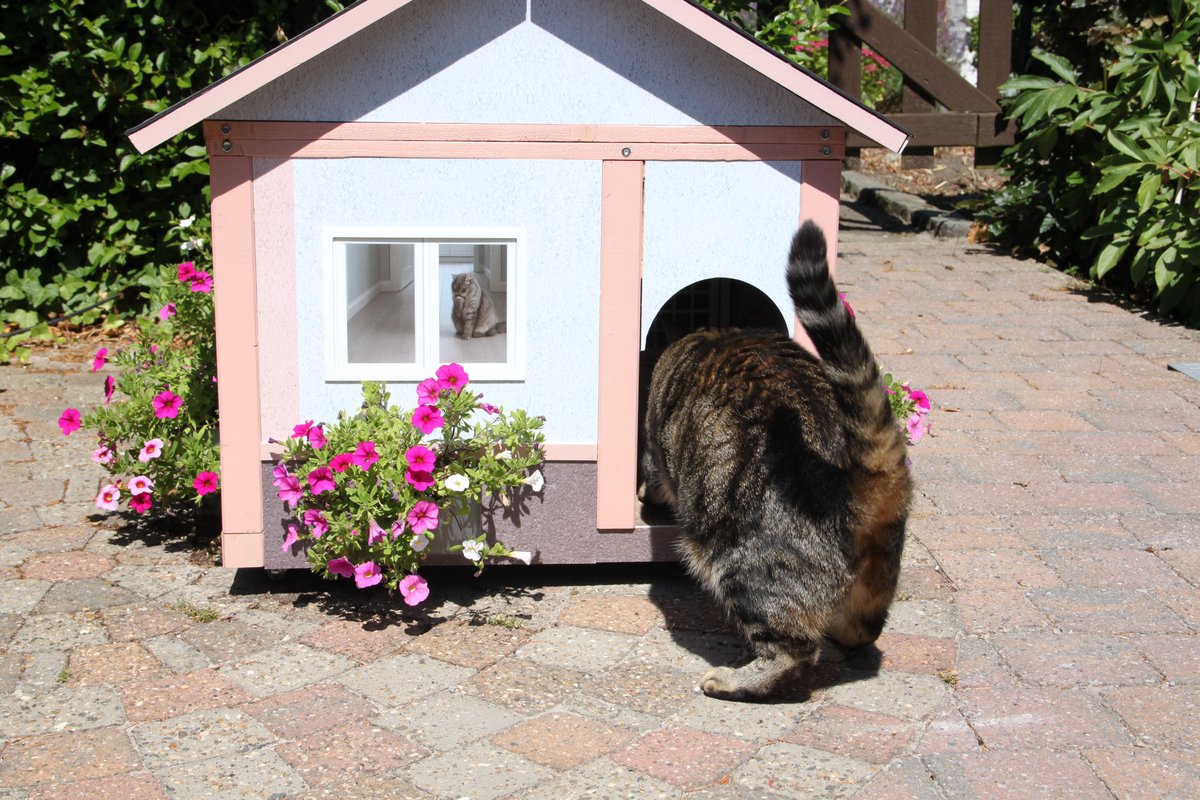 La maison AnimHouse d'aujourd'hui, style California