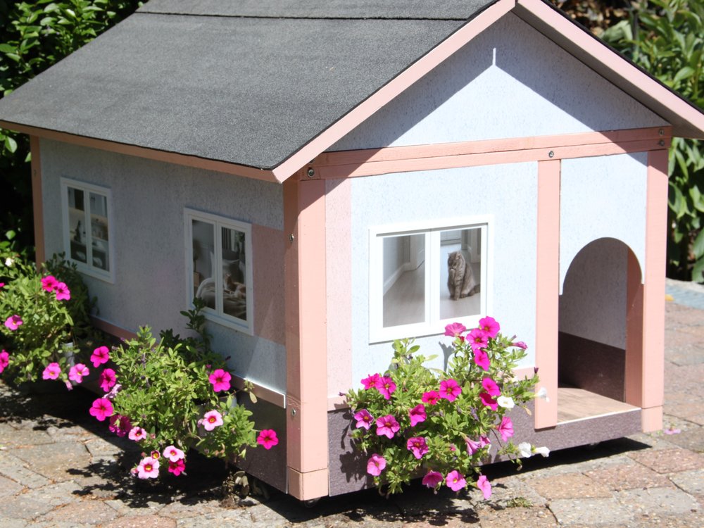 Maison AnimHouse en été avec des pétunias