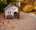 La maison en automne