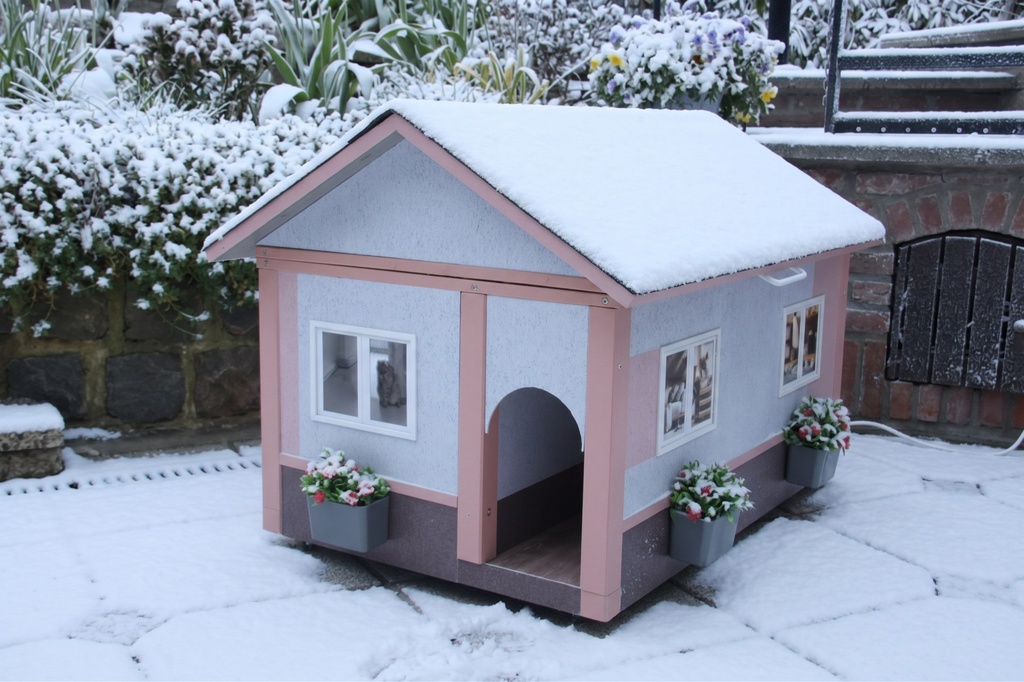 La maison sous la neige