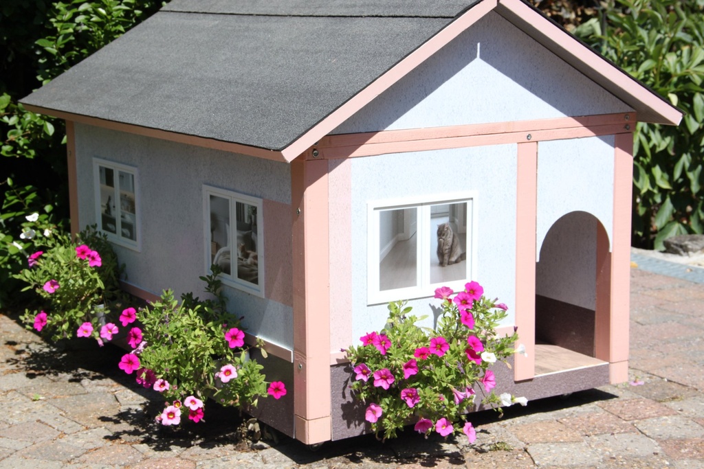 Maison AnimHouse